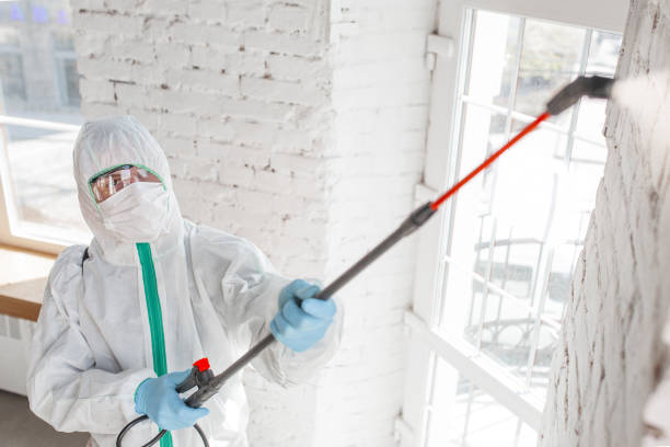 Best Commercial Mold Inspection  in Manito, IL